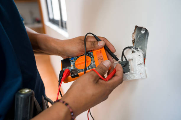 Best Electric Panel Repair  in Gunnison, CO
